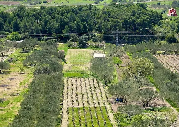 Apartament Vranac Sibenik *