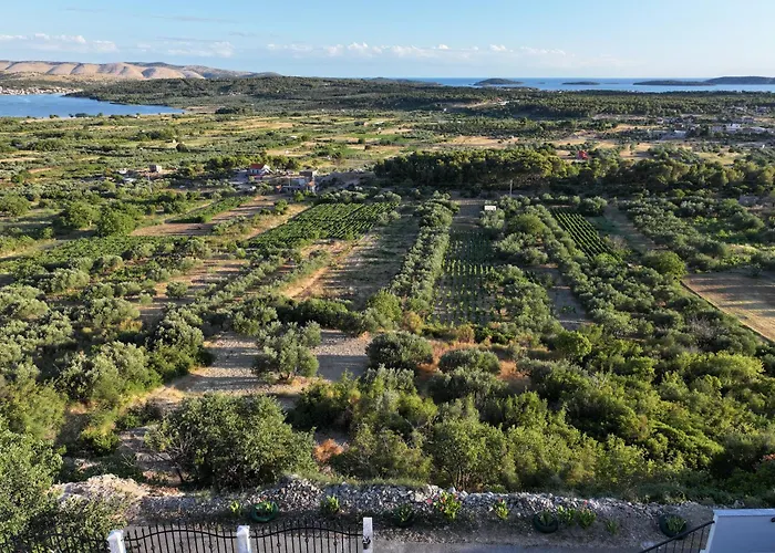 Vranac Sibenik * Donje Polje